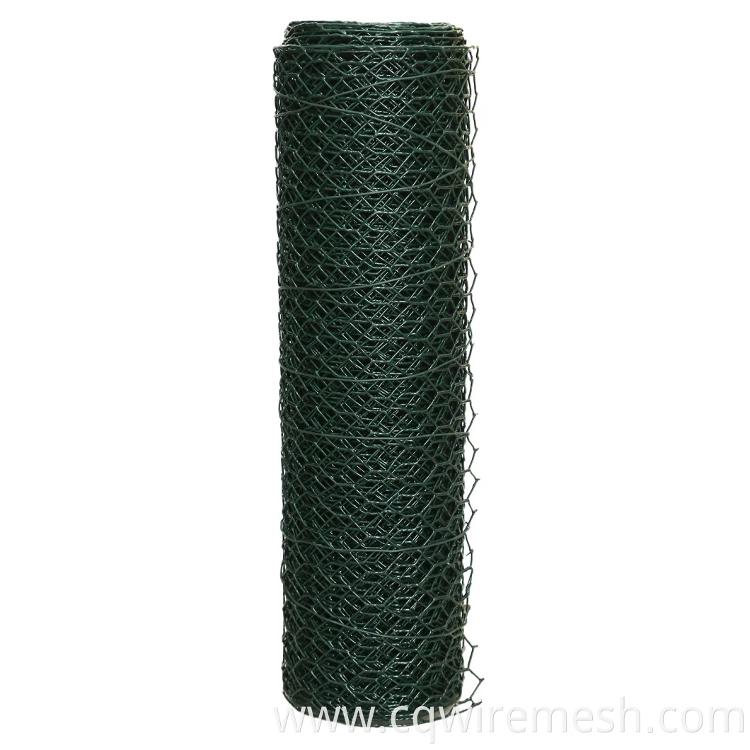 Galvanized Wire Mesh/Chicken Wire Mesh with Hexagonal Wire Netting